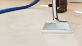 Carpet cleaning wand head gliding over a light carpet during hot-water extraction, Little Rock, AR.